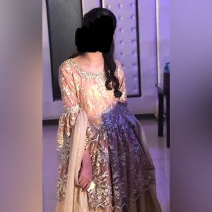Indian/Pakistani Fancy Wedding Dress